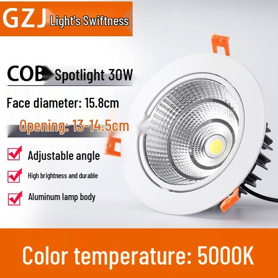 Recessed 20W Spotlight Downlight for Clothing Stores, 15-30W Commercial Ceiling Light