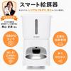 Supervised 2026 PETABOCT Automatic Pet Feeder for Cats and 1080HD 5GHz 6L Large Feeding Voice Dual Power Sealed Food Japanese Supported in Japan