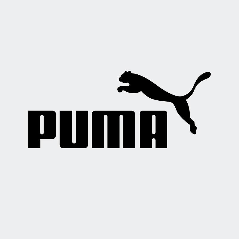 Puma Мужская толстовка с капюшоном на флисовой подкладке