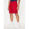 Шорты U.S. Polo Assn. MUP3355