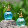 Creative Plastic Pumpkin Shape Succulent Flower Raising Vintage Colorful Sprinkler Pot Gardening Press Garden Sprayer Decor