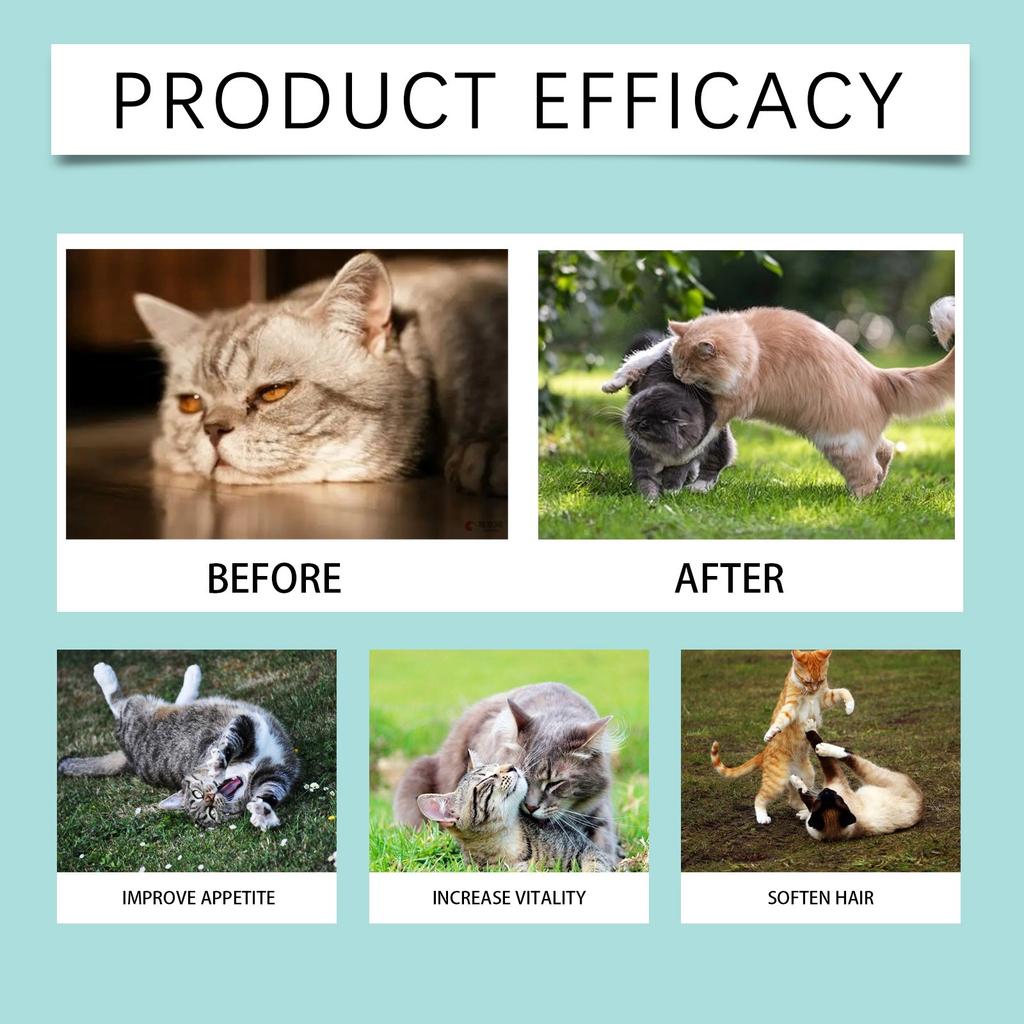 Пробиотические таблетки для кошек улучшают здоровье кишечника и способствуют пищеварению и усвоению пищевых добавок для домашних животных