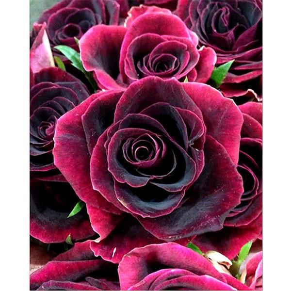 Полный квадрат Алмазная картина красная роза цветок 5D DIY Алмазная вышивка цветок горный хрусталь