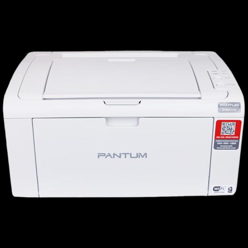 Pantum P2506 A4 Черно-белый лазерный принтер Штепсель CN (адаптер в комплекте)