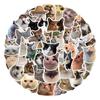 100 Реалистичных Стикер-Граффити с Выражениями Кошек - Декор Своими Руками для Чемодана и Телефона, Водонепроницаемые