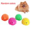 Pet Chew Puppy Hedgehog Play Interactive Squeaky Scratch Dog Shape Toy