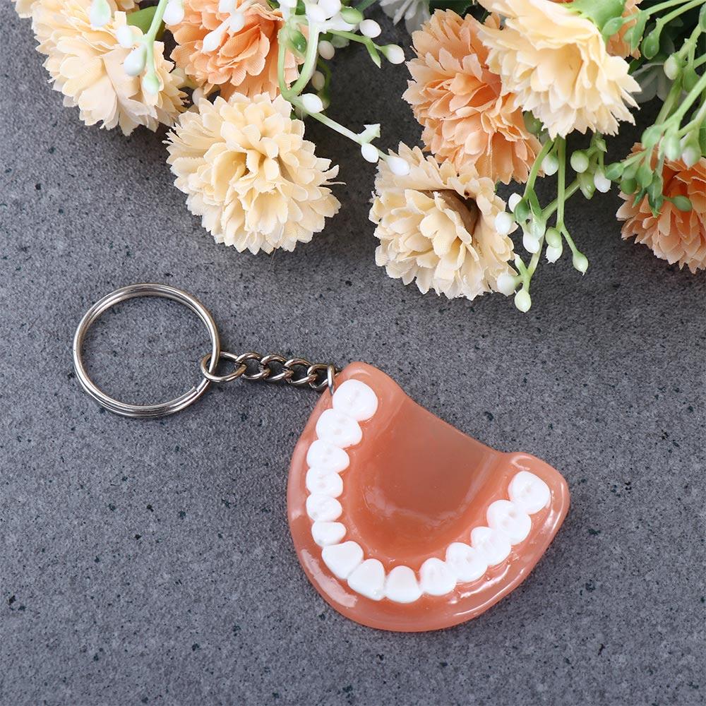 Gift Teeth Shape Resin Upper Jaw Teeth Pendant Tooth Key Chain Denture Key Chain Teeth Keyring