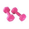 2 Pieces Exercise Dumbbells Fitness Equipment Multifunction Training Home Gym Workouts