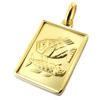 [P2596] - Gold Plated Pendant 'Pisces' - 22x16 Mm