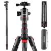 NEEWER New Edition Camera Tripod Monopod Made of Carbon Fiber Telescoping 2 Section Center Axis Ball Head Arca Type QR Plate for DSLR Panorama