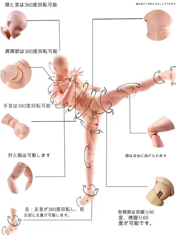 Huijokf Drawing Model Drawing Doll Body Cartoon Model Doll Male and Female Drawing Mannequin Figure Model Model Drawing Model Doll 112 Props with