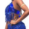 Shiny Performance Top Tassel Halter Bra Charming Dance Wear  Festivals