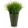 Plante Décorative - IBERGARDEN - Vert/Gris - 11 X 18 X 11 Cm - Lot De 12 Unités - Plastique