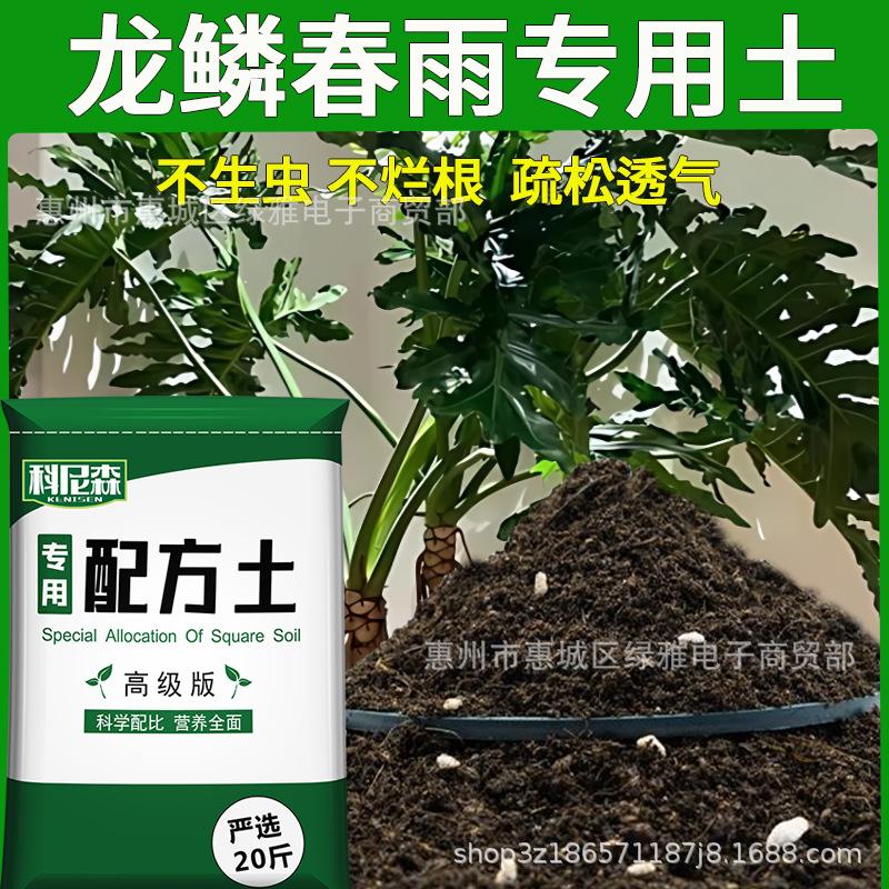 Dragon Scale Organic Nutrient Soil - Ideal for Flowers, Vegetables, Succulents, and Potted Plants