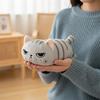 Милый мультяшный плюшевый пенал Серый кот Pcute Мультяшный пенал Kawaii Вместительная косметичка Портативный пенал Канцелярские принадлежности для офиса