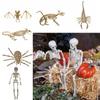 Bat Mouse Lizard Scorpion Halloween Animal Skeleton Halloween Bats Skeleton  Halloween
