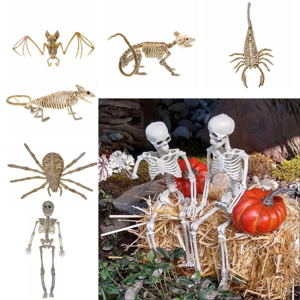 Skeleton Model Halloween Animal Skeleton Bat Mouse Lizard Scorpion Halloween Bats Skeleton Home