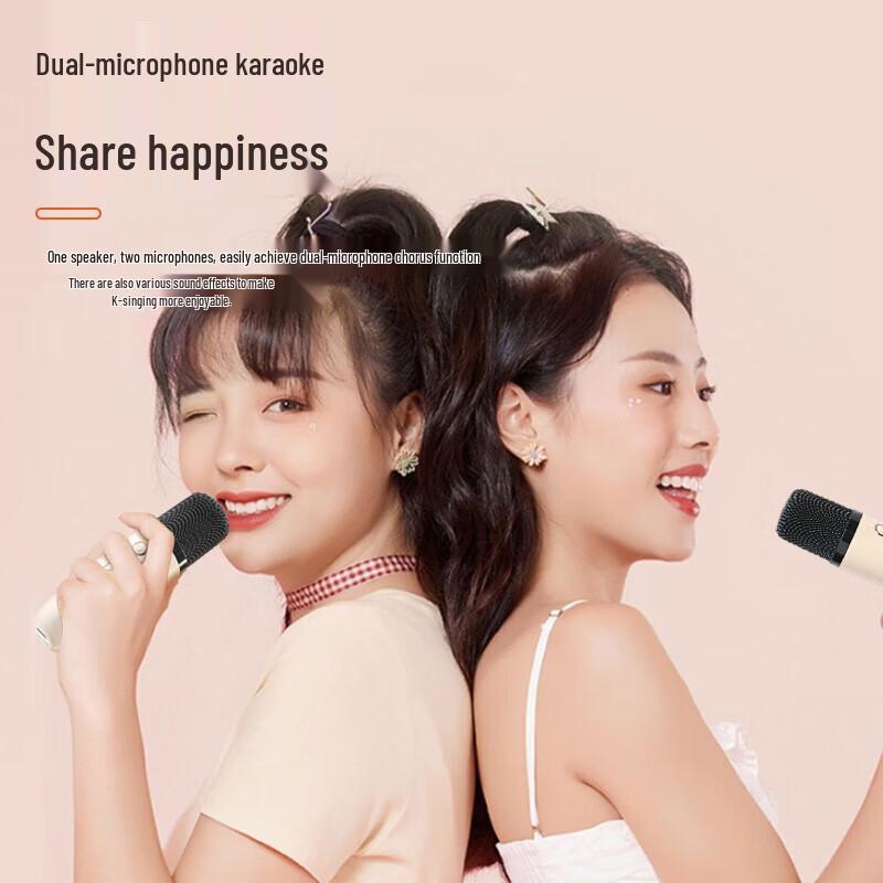 Newmine DP99 Wireless KTV Microphone Speaker System