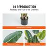 Artificial Birds Of Paradise Tree, 1.5mTall Faux Plant, PE Material & Anti-Tip Tilt Protection Low-Maintenance Plant, Lifelike Green Fake Tree for