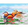 DIY Алмазная вышивка Утка-мандаринка Полный круглый Алмазная картина Мозаика Домашний декор