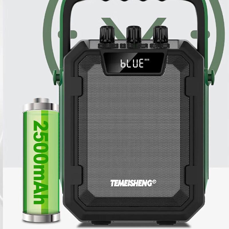 TEMEISHENG Xuanwu V1 Портативная Bluetooth-колонка для караоке, штекер CN (адаптер в комплекте) (Китайская версия)