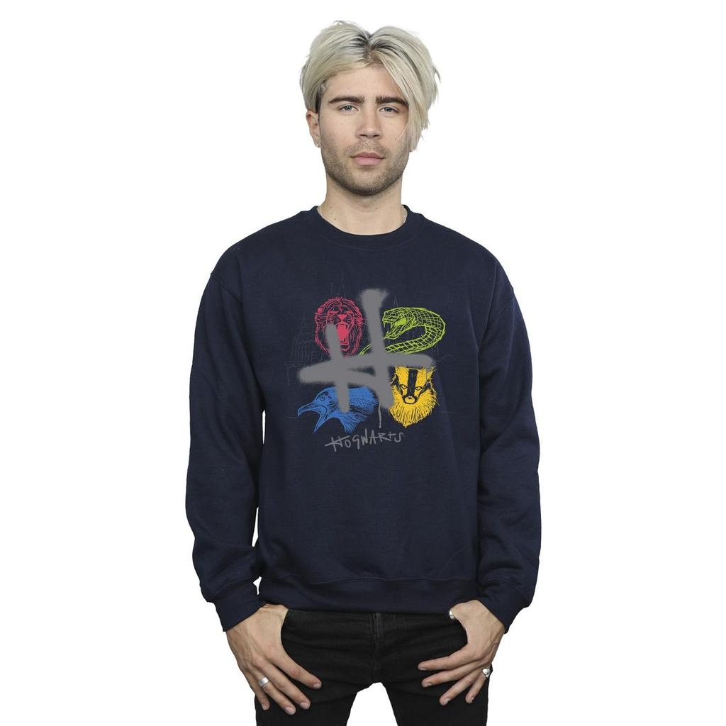 Harry Potter Mens Emblems H Spray Sweatshirt