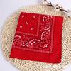 New Fashion Hip Hop Cotton Bandana Square Scarf Black Red Headband Printed for Boys/Girls