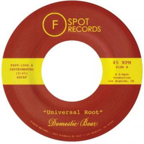 7-дюймовая пластинка DOMESTIC BEAR - Universal Roots / Topher Knights FSPT1006 F-spot 2015 США Регги, Ска и Даб