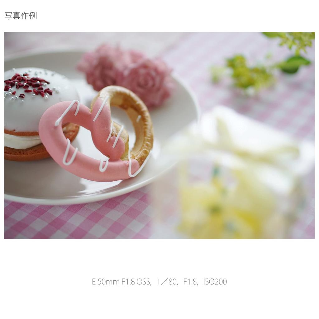 Sony Single Focus Lens E 50mm OSS Format Only F1.8 APS-C