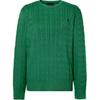 Polo SS24 однотонный свитер с вышитым маленьким пони, вязка косами, круглый вырез, длинный рукав, детский свитер, зеленый цвет CWPOSWEY6820517-300
