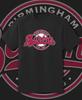 Birmingham Barons Milb Логотип команды Milb 100% Хлопок Футболка Мужские Футболки Топ Молодежный M - Взрослый 6XL Быстрая доставка!