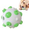 Wear Resistant Pet Toy Ball TPR Dog Training Toy Funny Dog Chew Toy  Relieve Boredom