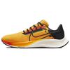 Кроссовки Air Zoom Pegasus 38 University Gold Black DO2423-739