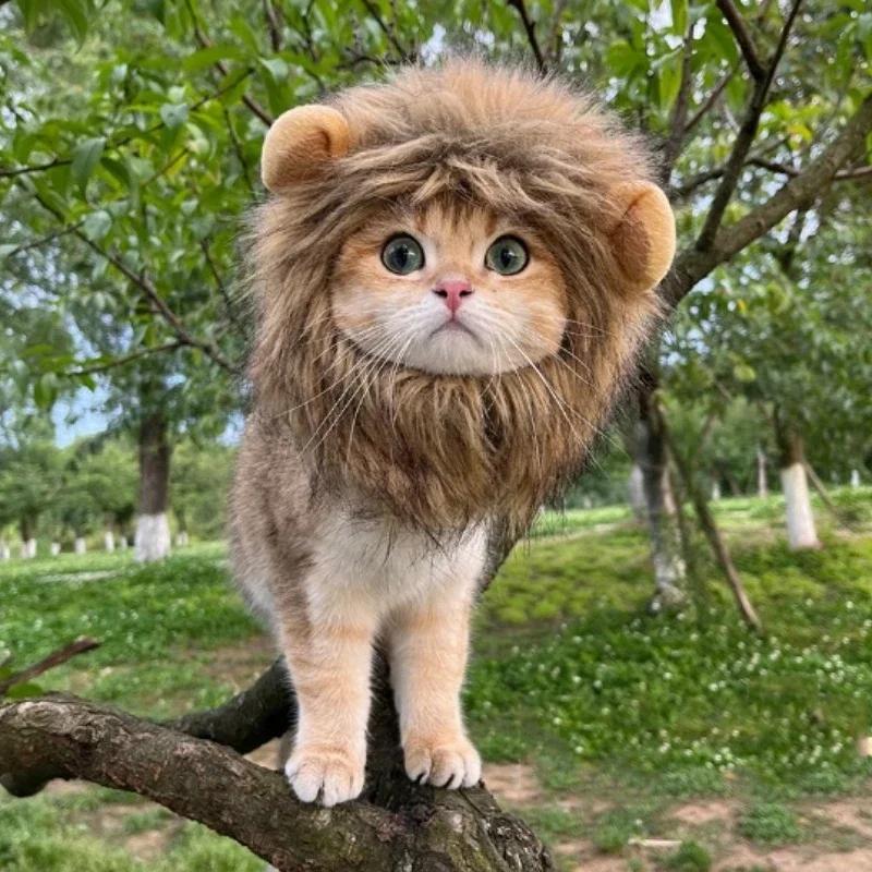 Шляпа для кошки Львиная грива Костюм на Хэллоуин Костюм льва Кошачий косплей Нарядные головные уборы для домашних животных Маленькие кошки и котята Украшение для вечеринки