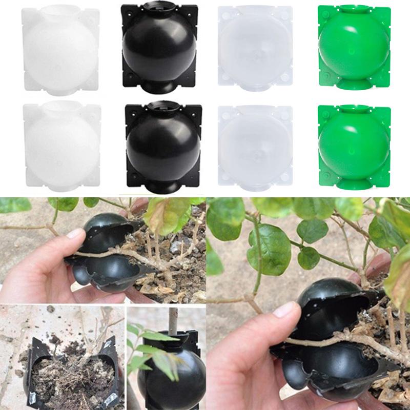 Черенкование Прививка Корневой ящик Прессование веток Укоренение Размножение шаровидных растений Коробка для размножения под высоким давлением