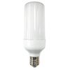 FTW40-DS E39 Daylight White LED Bulb, Global