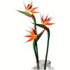 3pcs Artificial Bird Of Paradise Flowers Rubber Strelitzia 24.5'' Long Stem Flower Suitable For DIY Home Party Theme Decor