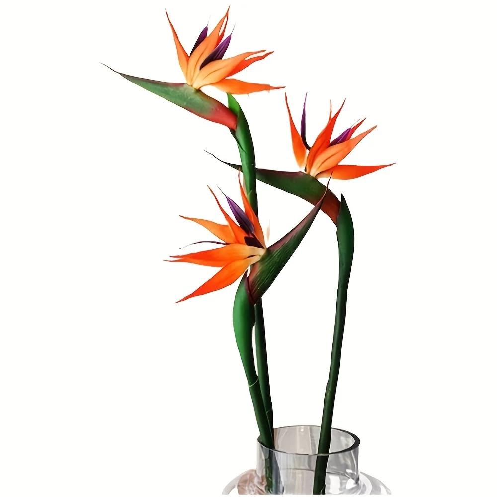 3pcs Artificial Bird Of Paradise Flowers Rubber Strelitzia 24.5'' Long Stem Flower Suitable For DIY Home Party Theme Decor