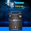 MALONE M-08S Portable Bluetooth KTV Speaker (CN version)