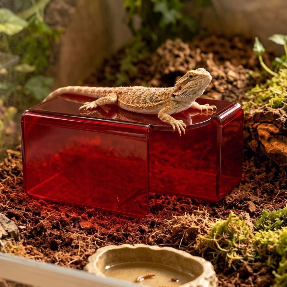 Translucent Lizard Acrylic Shelter Breathable Reptile Hideout Reptile Hide Cave Pet Breeding
