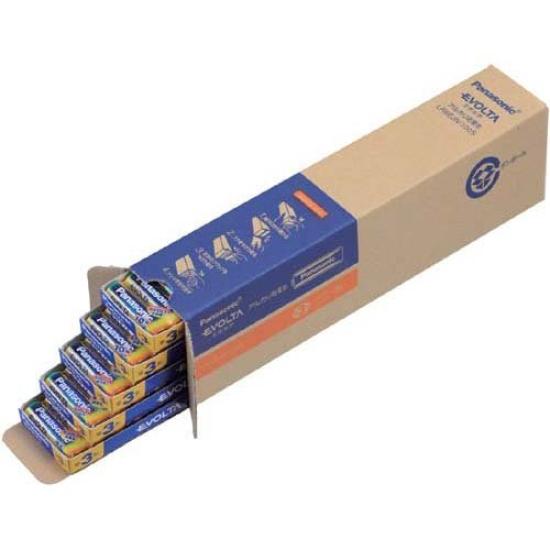 Panasonic Evolta Alkaline AA Batteries, size, 100-pack