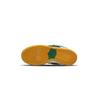 Nike Dunk SB Cushioning Low top Skateboard Shoes Unisex Beige Brown Green HF3704-001(Team882-)