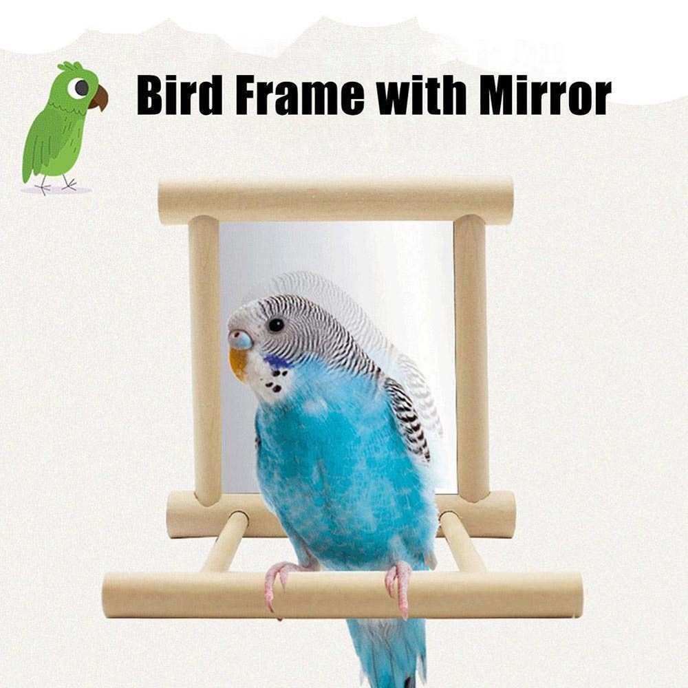 Parrot Parakeets Cockatiel Mirror Stand Bird  Supplies Parrot Standing Swing Bird Perch Mirror Toy