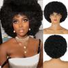 Women's Short Afro Curly Hair Black Wigs for Women Natural Looking Synthetic Fiber Wigs for Women