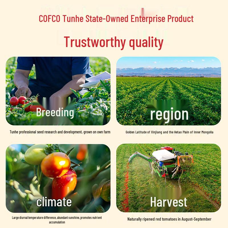 COFCO Tunhe Помидоры кубиками, 6 упаковок (Банки 410 г)