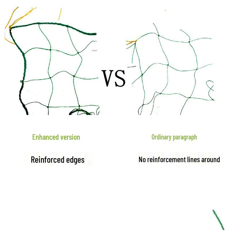 Climbing Grid Support Net for Cucumber and Tomato Plants
