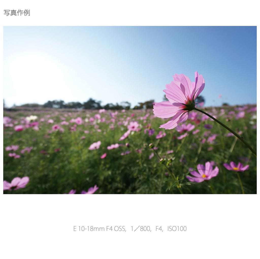 Sony Zoom Lens E F4 OSS for Sony E Mount Exclusive SEL1018 Wide-angle 10-18mm APS-C