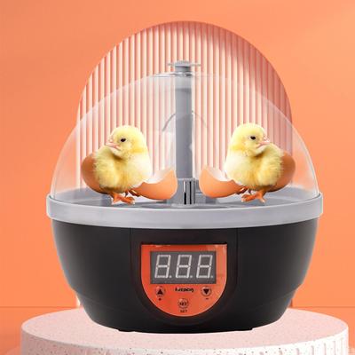 Инкубатор для яиц, бытовой съемный цифровой для гуся, перепела, курицы