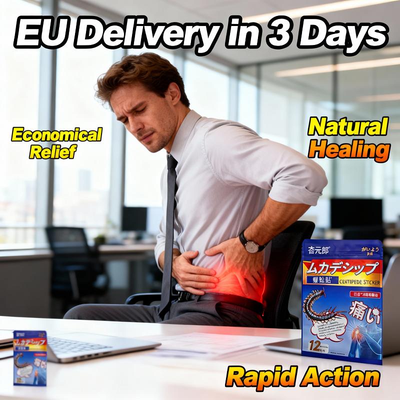 Rapid Back Pain Relief Patch – Natural Herbal Plaster for Lower Backache & Sciatica | Economical, Long-Lasting Comfort