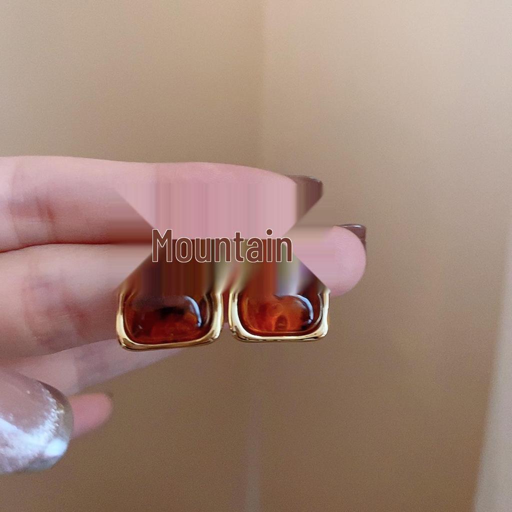 Серьги-пусеты неправильной формы коричневого цвета 'Серебряная игла' - Французская легкая роскошь, ретро, нишевые, высококлассные украшения для женщин.